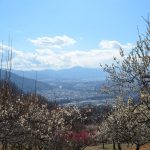 宝登山梅百花園 長瀞 セラヴィ
