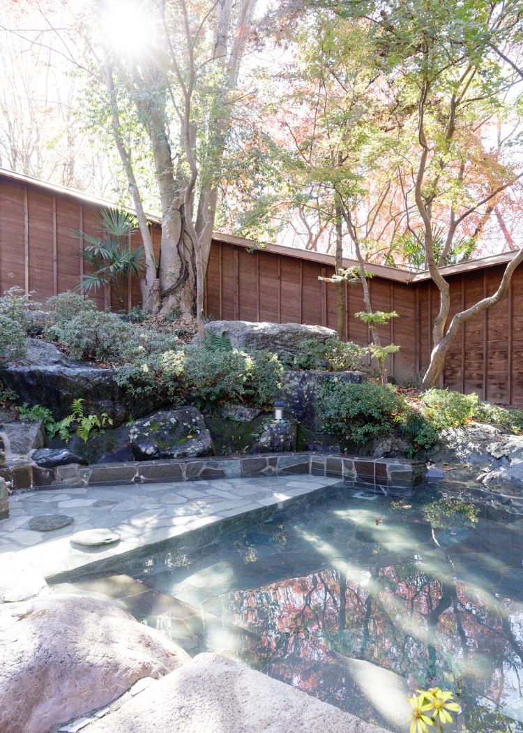 トップページ | 【公式】秩父・長瀞の宿 セラヴィ